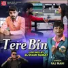 About Tere Bin Lofi Mix Song